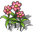 Flower-9.png
