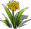 Flower-22.png
