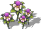 Flower-16.png