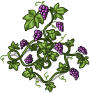 Grape-plant-adult.png