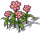 Flower-10.png