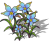 Flower-18.png