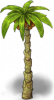 Palm-tree.png
