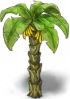 Banana-palm-tree.png